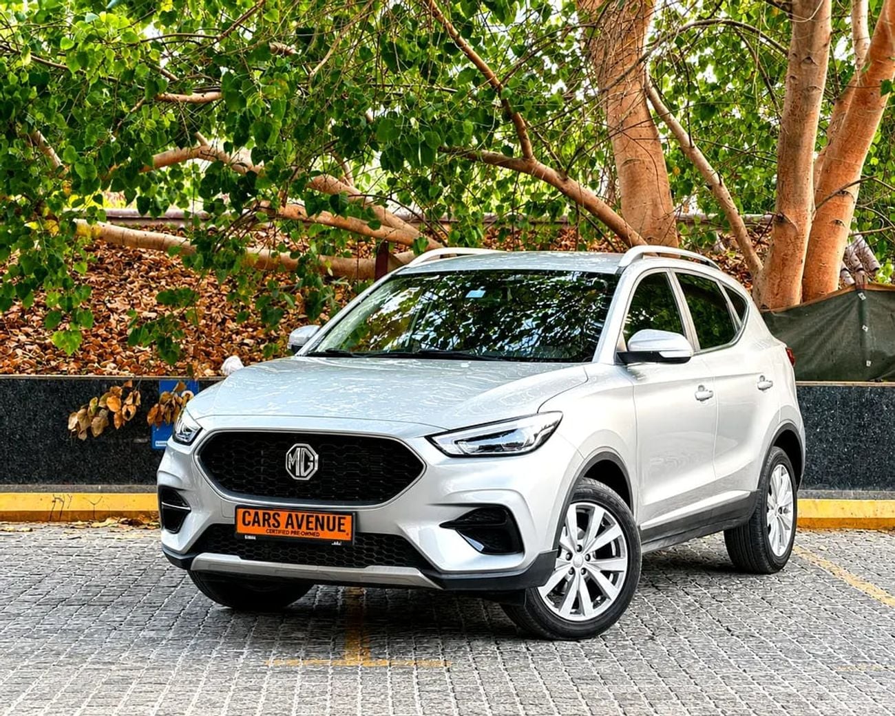 MG ZS